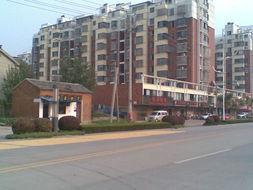 明珠大道最新爆料,揭秘城市交通新动脉的蜕变与未来  第1张