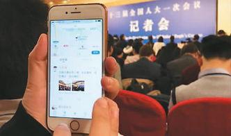 海客新闻爆料最新消息,最新热点事件深度解析