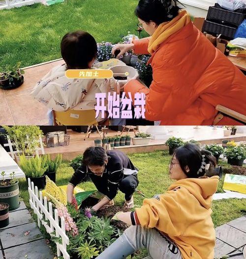 苗苗最新爆料房子租的,揭秘租房背后的故事